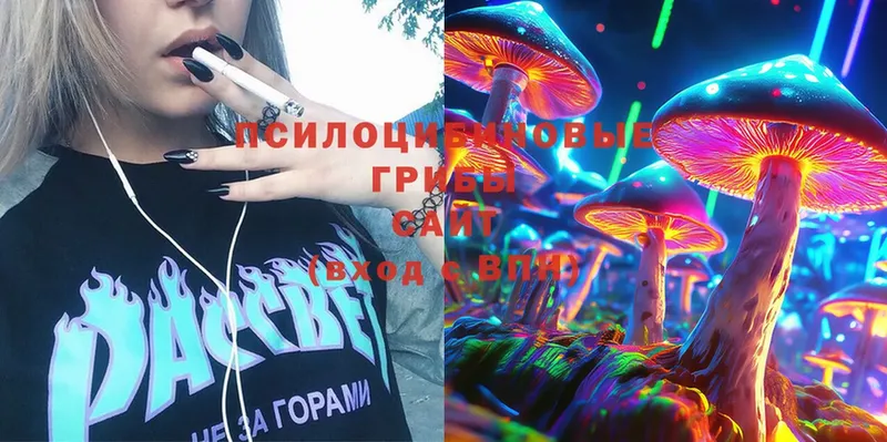 Псилоцибиновые грибы Magic Shrooms  Новочебоксарск 